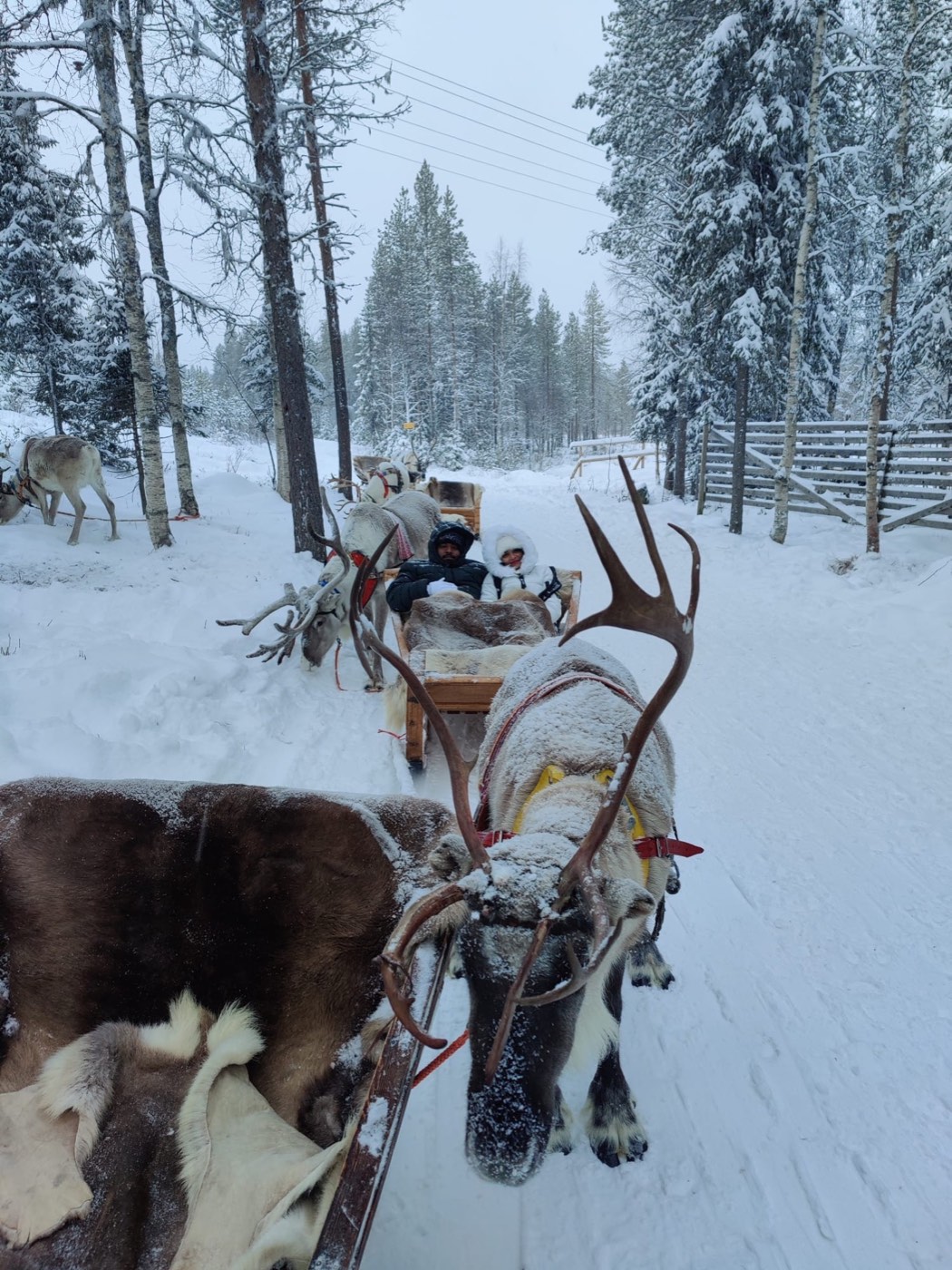 A Northern Lights Honeymoon in Rovaniemi: Romantic Guide