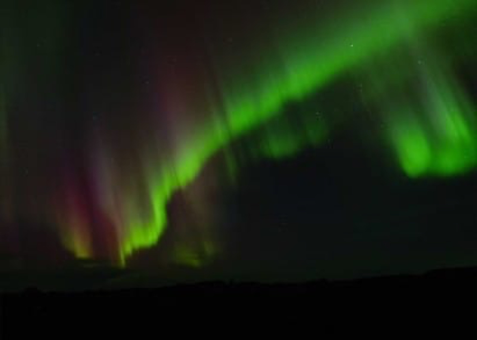 Green and magenta aurora borealis dancing above pine trees Rovaniemi Finland